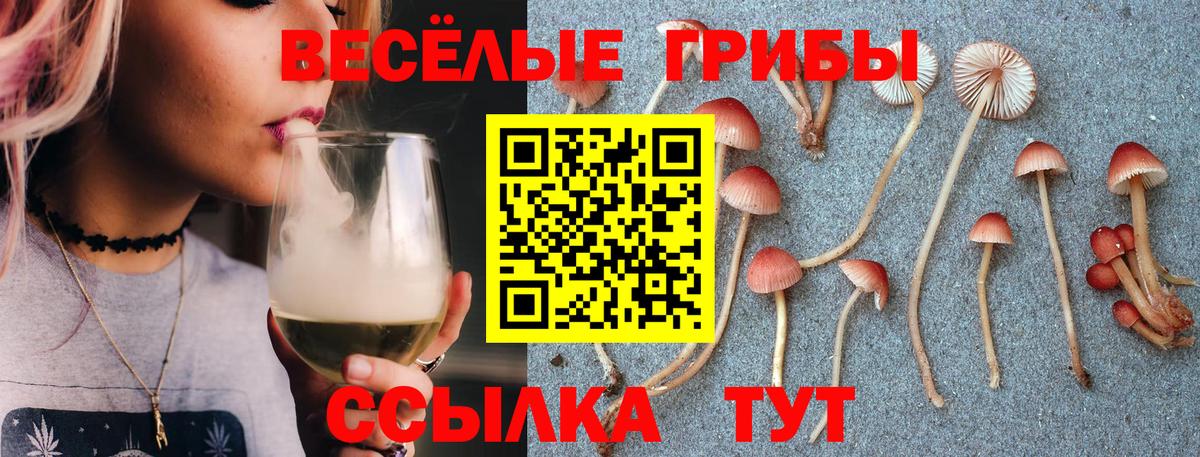 Приморско-Ахтарск  Галлюциногенные грибы GOLDEN TEACHER  Вход с VPN  Псилоцибиновые грибы ЛСД 